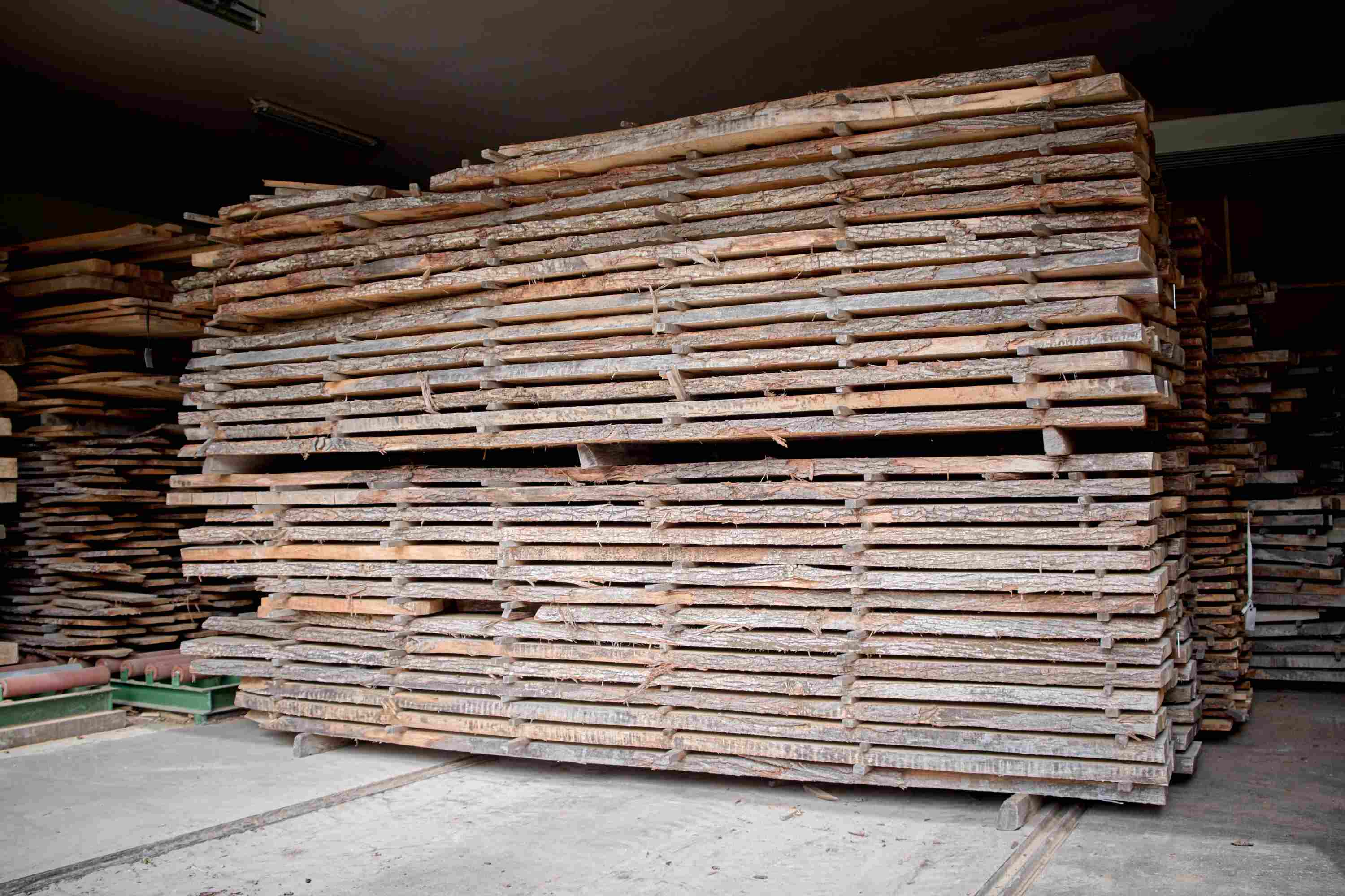 Massief hout - bestand tegen ongedierte en vocht